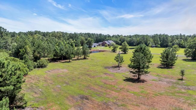 602 Alligator Rd, Home with 0 bedrooms, 0 bathrooms and null parking in Andrews SC | Image 4