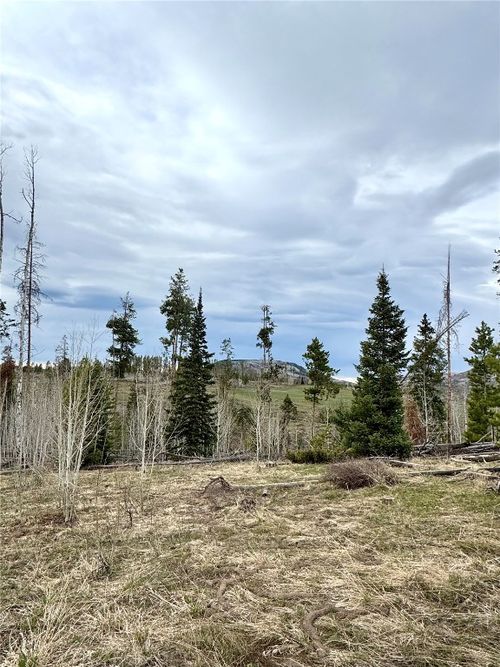 TBD Rein Way, Oak Creek, CO, 80467 | Card Image