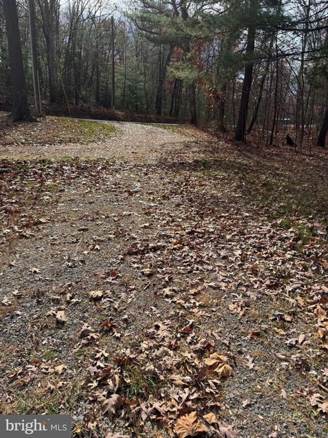 492 Lost River State Park Rd, House other with 3 bedrooms, 2 bathrooms and null parking in MOOREFIELD WV | Image 20