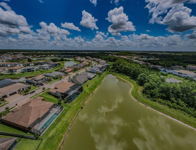 29038 Picana Ln, House other with 4 bedrooms, 4 bathrooms and null parking in WESLEY CHAPEL FL | Image 98