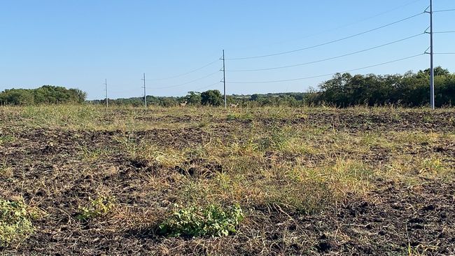View of nature featuring rural landscape | Image 9