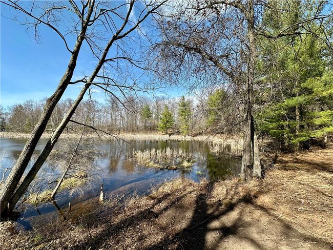 16 295th Street, Home with 0 bedrooms, 0 bathrooms and null parking in Holcombe WI | Image 31