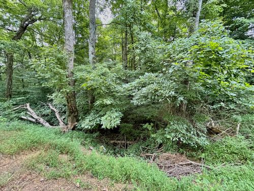 9999 Old Zula Rd, Monticello, KY, 42633 | Card Image