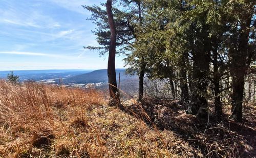 Lot 9 Lodge Point Rd, South Pittsburg, TN, 37380 | Card Image