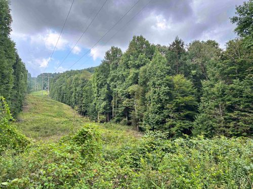 469 Karlen Rd, Pickens, WV, 26230 | Card Image