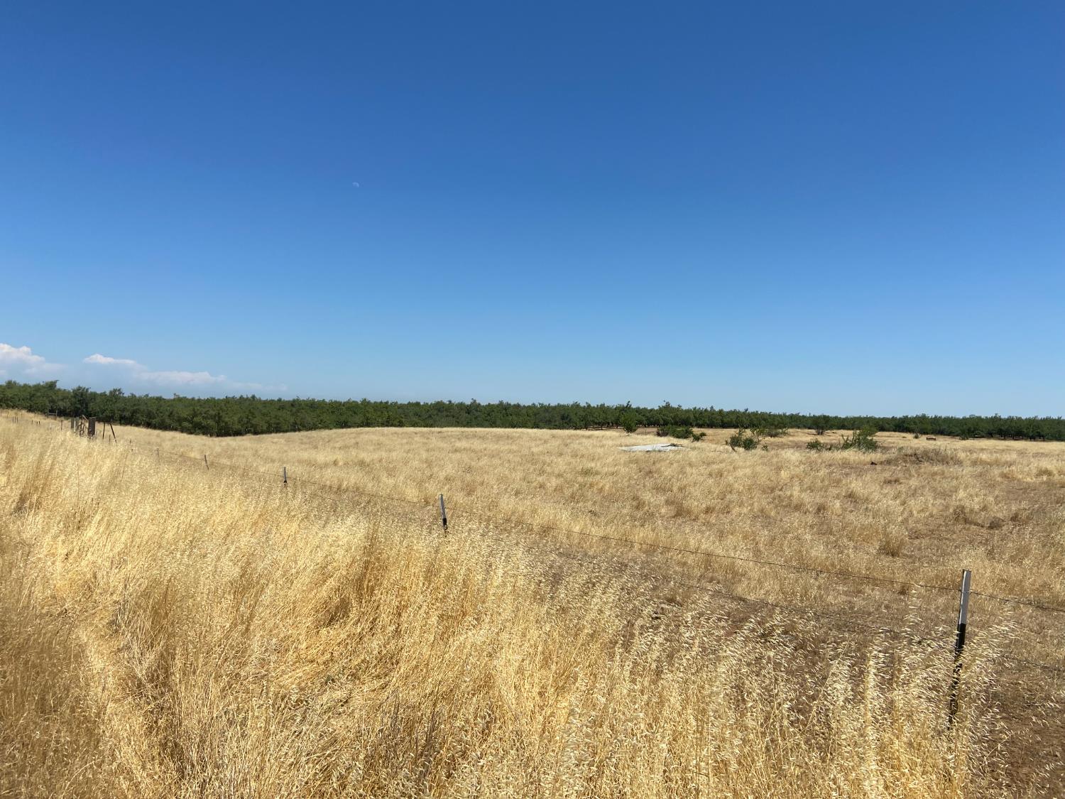 Land in Arbuckle 5