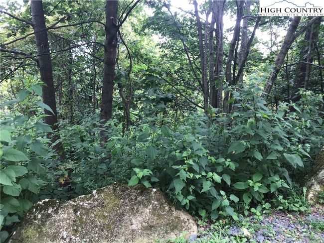 00 Little Ivy, Home with 0 bedrooms, 0 bathrooms and null parking in Deep Gap NC | Image 5