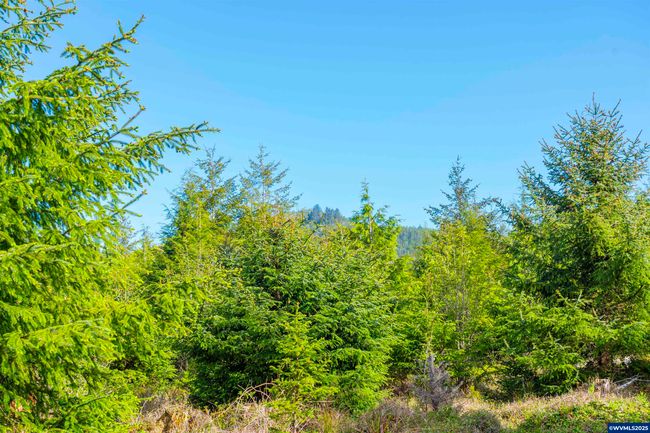 0 Elmer Miller Rd, Home with 0 bedrooms, 0 bathrooms and null parking in Siletz OR | Image 16