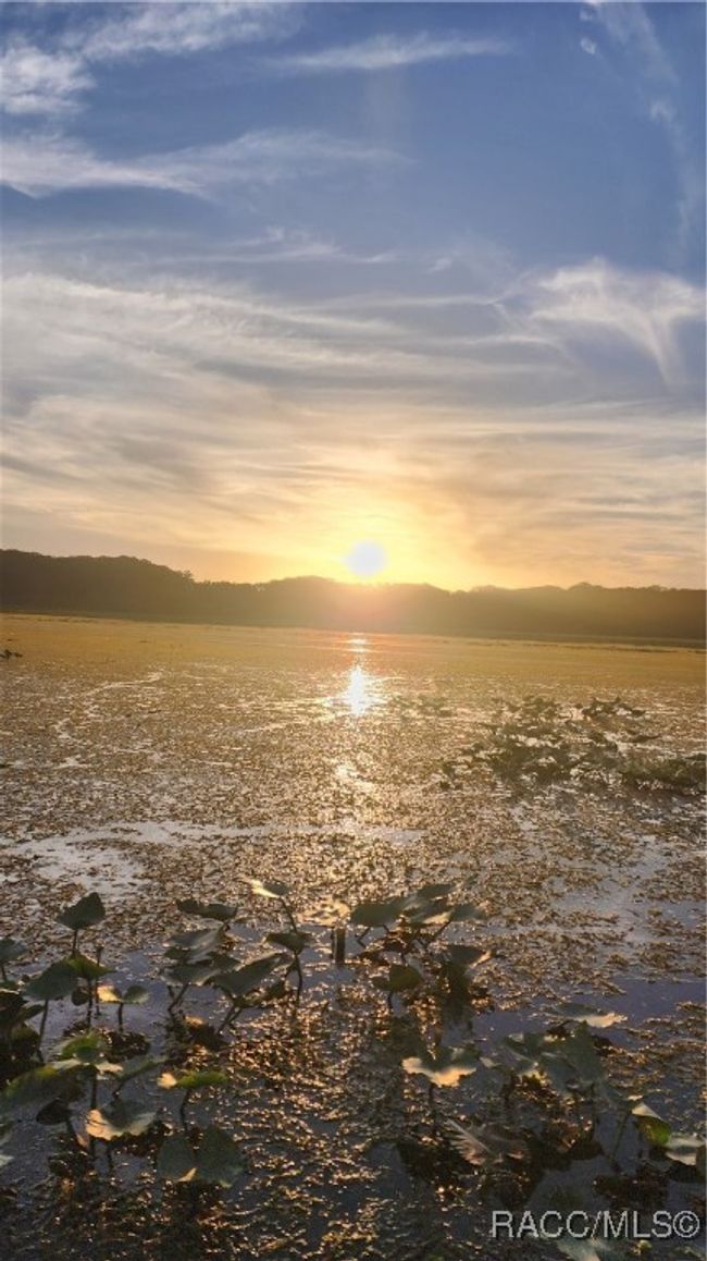 Withlacoochee River in Floral City, FL | Image 15