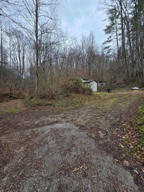 159 Apple Hollow Rd, Louisa, KY, 41230-8173 | Card Image