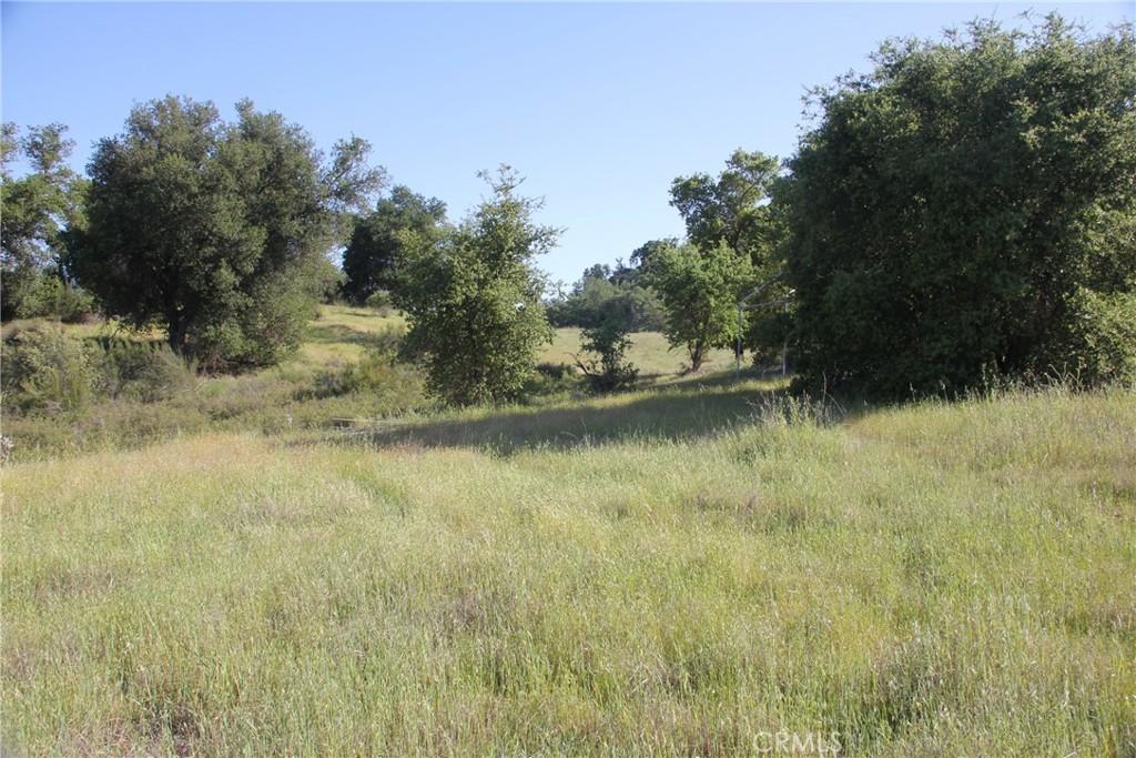 Land in Bradley 3