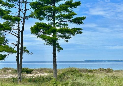 65 South Bch, Glen Arbor, MI, 49636 | Card Image