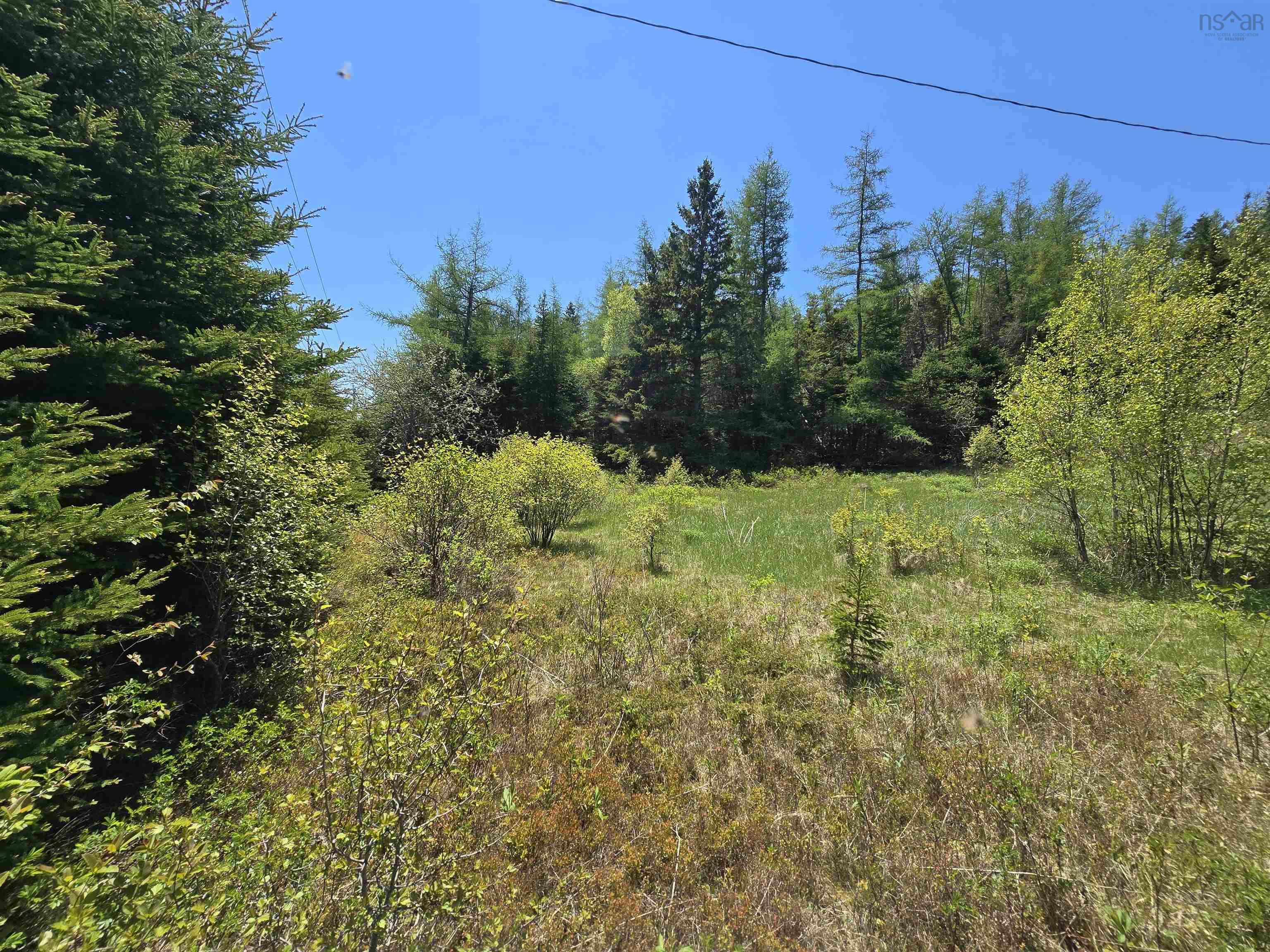 Land in Country Harbour