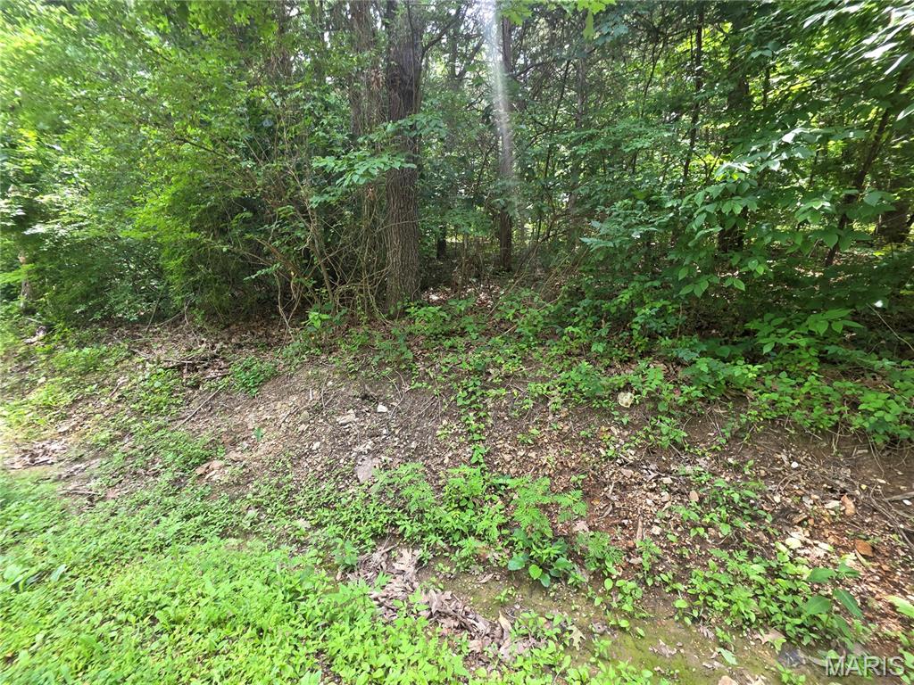 Land in Hillsboro 3