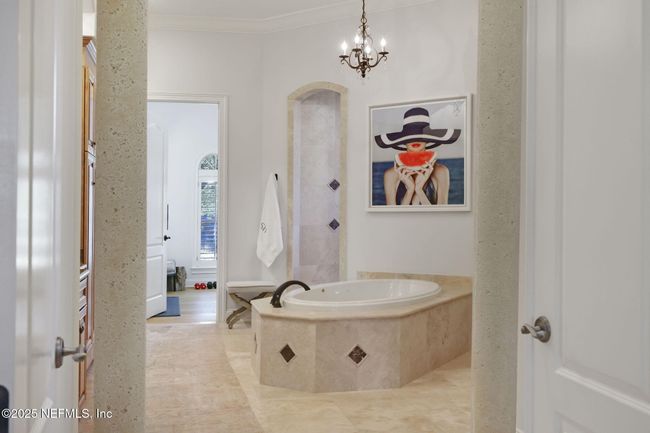 800 Hawks Nest Ct, House other with 5 bedrooms, 6 bathrooms and null parking in PONTE VEDRA BEACH FL | Image 45