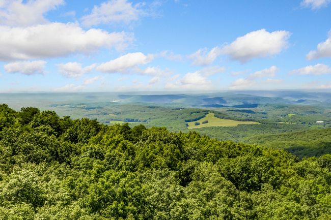 507 Big Stump Mountain Trl, House other with 3 bedrooms, 3 bathrooms and null parking in Jasper GA | Image 67
