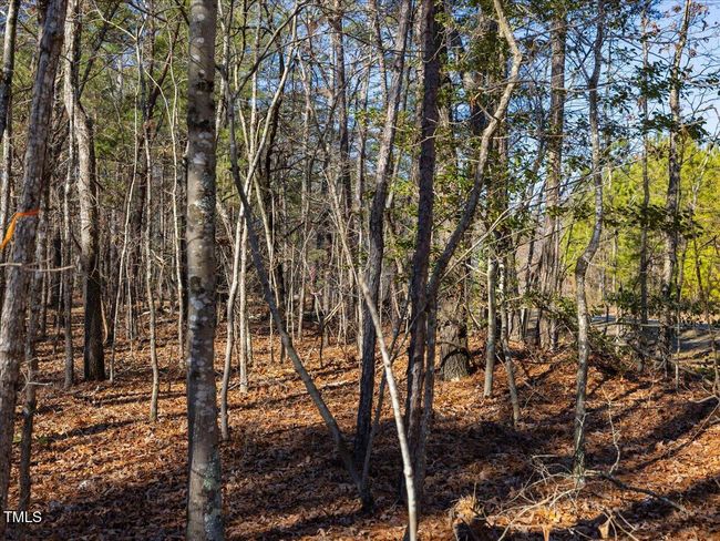 27-027-Tract1-RobedoRd-MontgomeryCounty- | Image 20