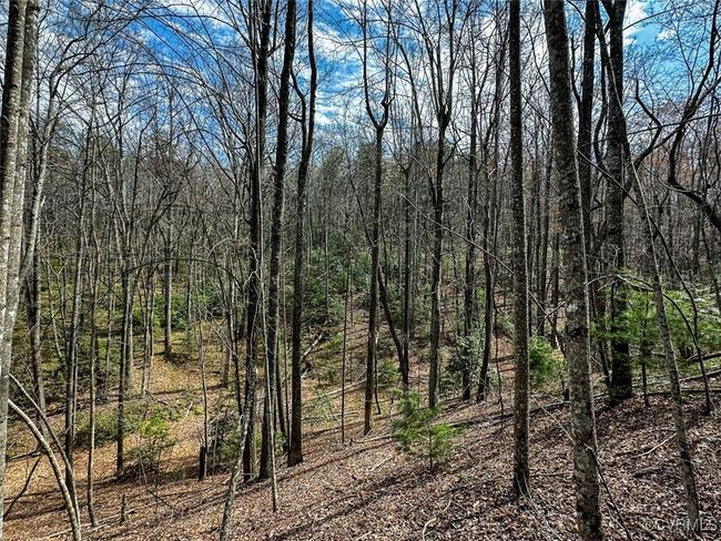 41.18 Acres (Off Of) Pole Bridge Rd, Home with 0 bedrooms, 0 bathrooms and null parking in Stuart VA | Image 31