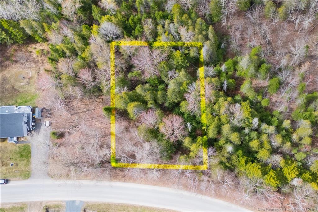 Land in New Maryland 2