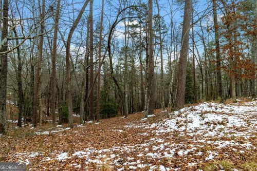 5-LOT 5 Curtis Rdg, Blue Ridge, GA, 30513 | Card Image