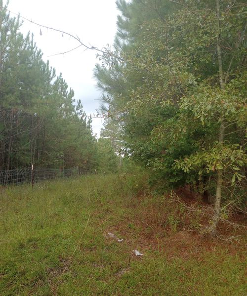 0 Salter Rd, Bartow, GA, 30413 | Card Image