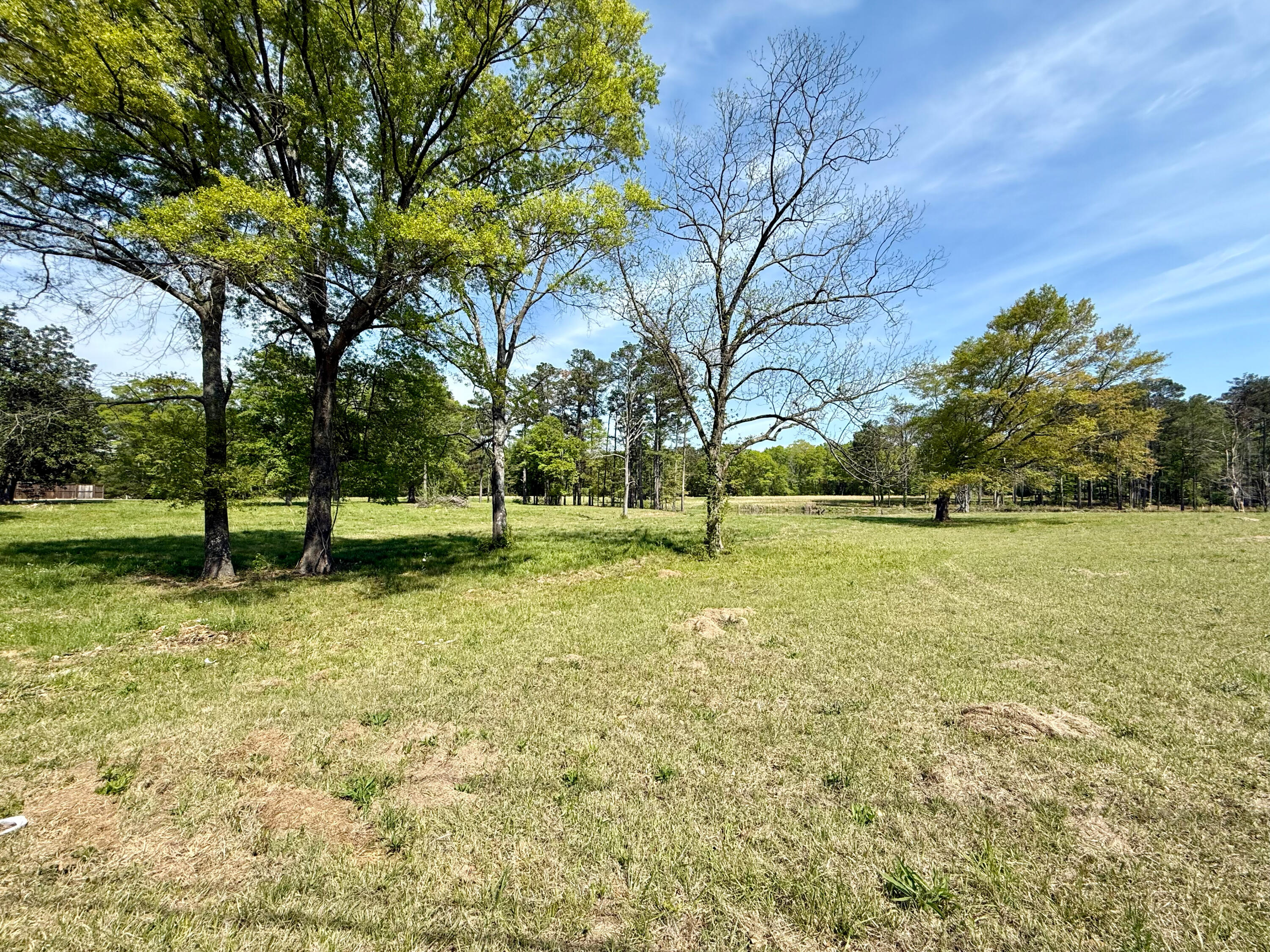 Land in Saltillo 2