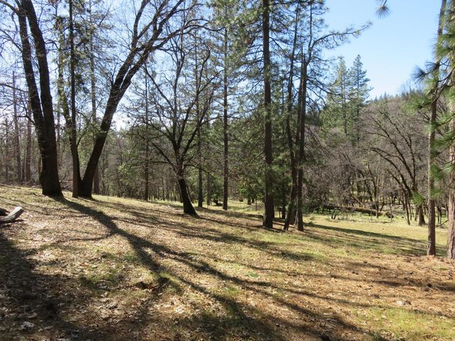 4196 Bald Mountain Rd, Home with 0 bedrooms, 0 bathrooms and null parking in West Point CA | Image 41