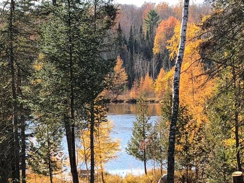 14463 Angel Crest Lane, LAKEWOOD, WI, 54138 | Card Image