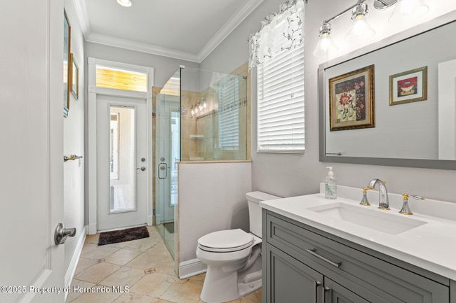 26221 Pheasant Run, House other with 4 bedrooms, 3 bathrooms and null parking in Wesley Chapel FL | Image 53