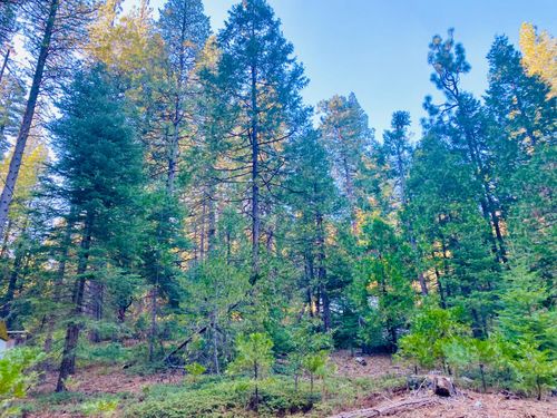 1557 Lily Valley Cir, West Point, CA, 95255-9625 | Card Image