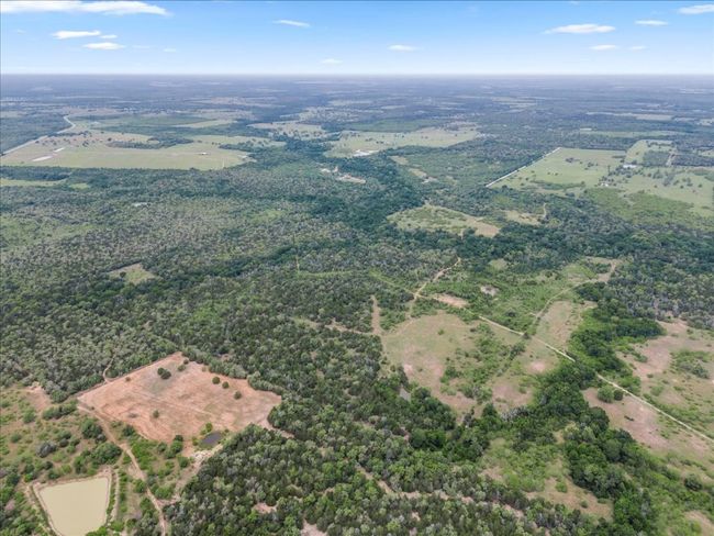 Drone / aerial view | Image 5