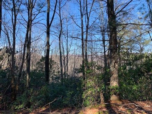 2 lots Wayah Road, Nantahala, NC, 28781 | Card Image