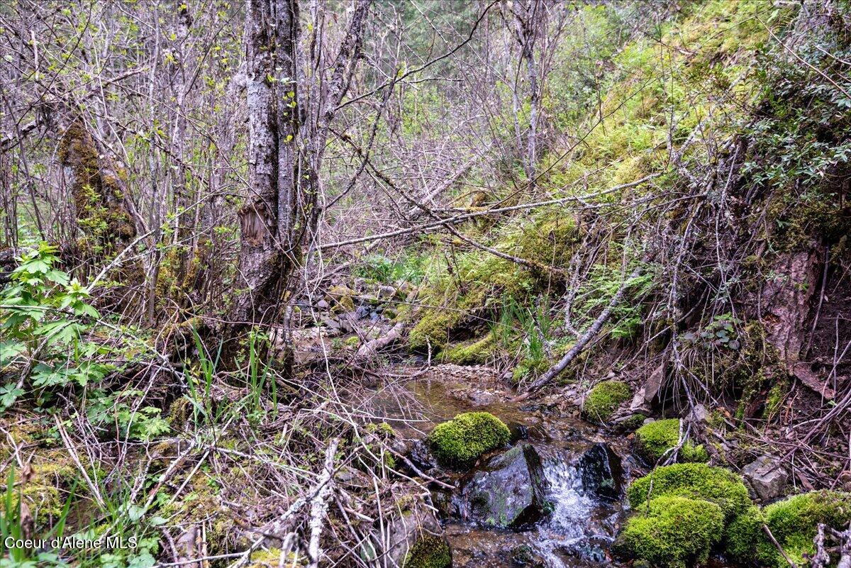 Land in Hayden 4