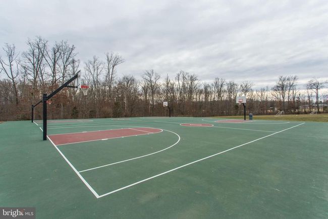 10136 Pale Rose Loop, Townhouse with 3 bedrooms, 3 bathrooms and null parking in BRISTOW VA | Image 62