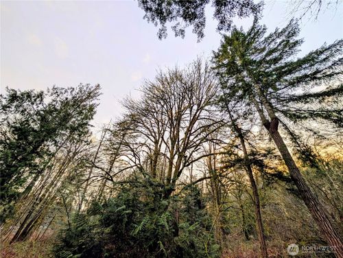 0 Whiteman Rd, Lakebay, WA, 98349 | Card Image