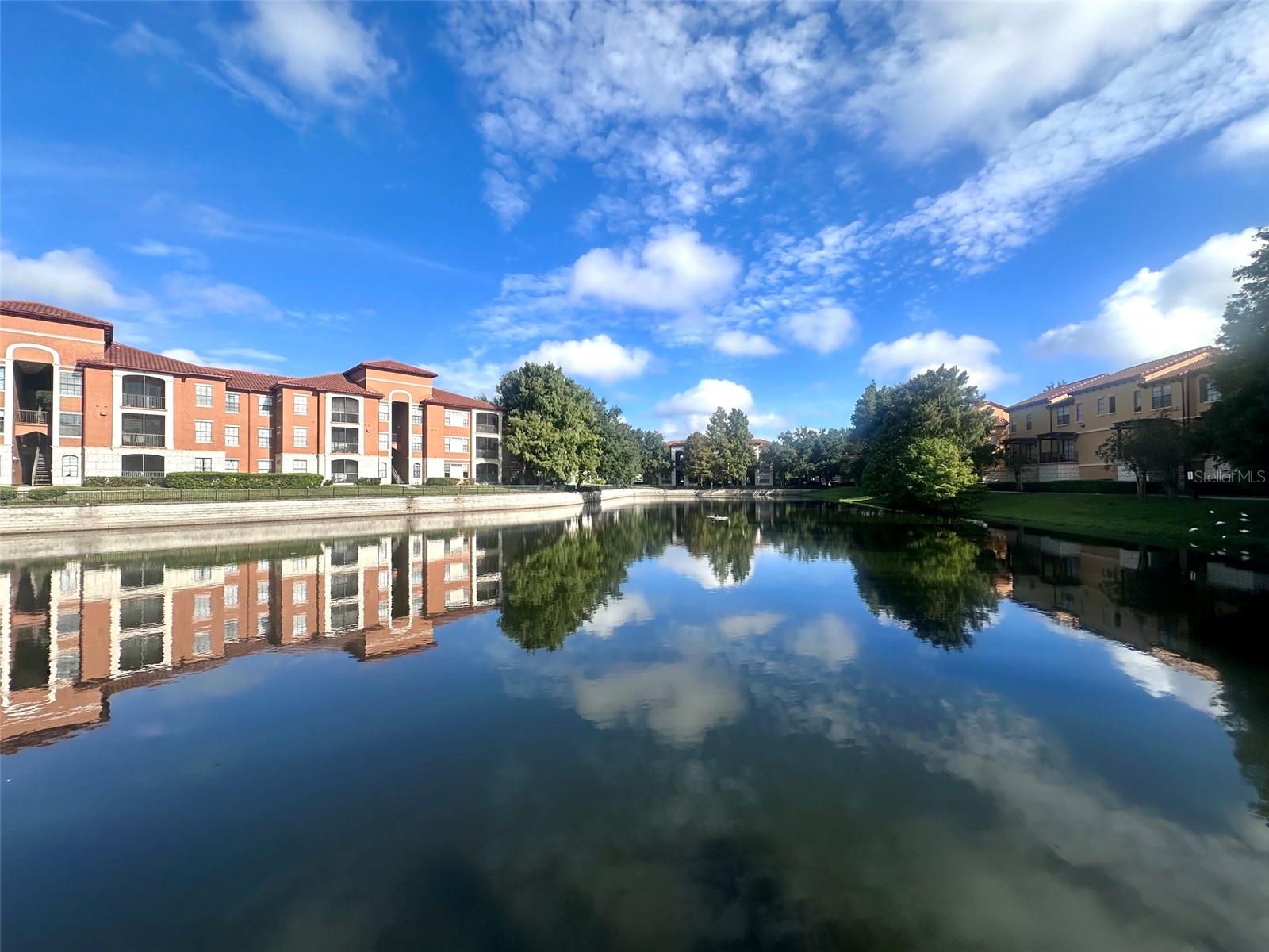 Residential Lease in ORLANDO 5