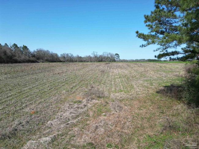 5400 Rockaway Creek Rd, Home with 0 bedrooms, 0 bathrooms and null parking in McDavid FL | Image 10