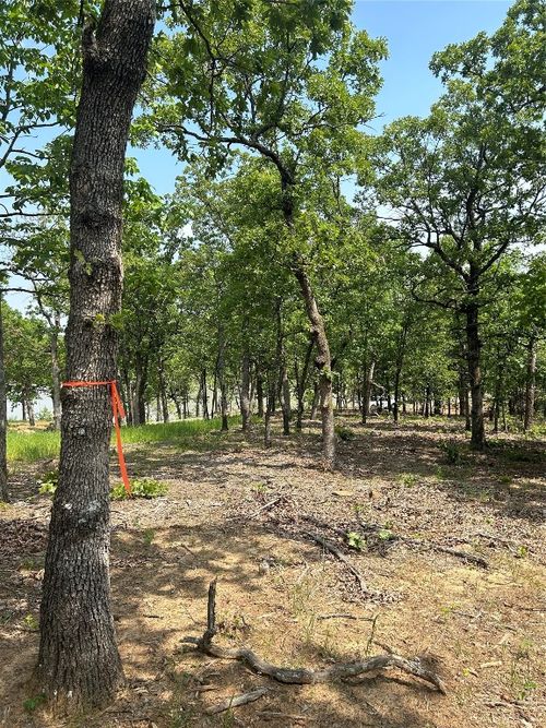  Lot 237 Patriot Pointe, Eufaula, OK, 74432 | Card Image