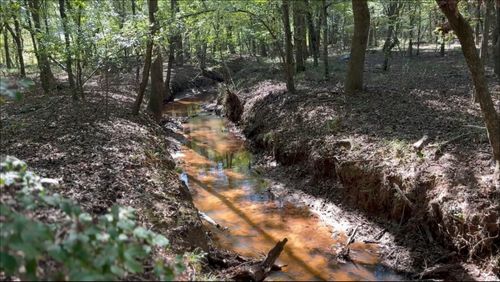 TBD-D County Road 4172d, Laneville, TX, 75667 | Card Image