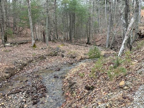 48 acres Millers Creek Rd, Max Meadows, VA, 24360 | Card Image