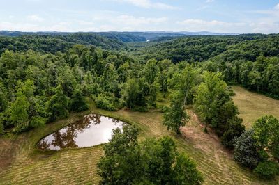 30 Acres Willow Grove Hwy, Home with 0 bedrooms, 0 bathrooms and null parking in Allons TN | Image 1