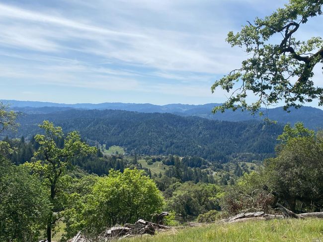 19010 Hulbert Rd, Home with 0 bedrooms, 0 bathrooms and null parking in Yorkville CA | Image 18