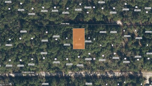 119 Palm Way, Georgetown, FL, 32139 | Card Image