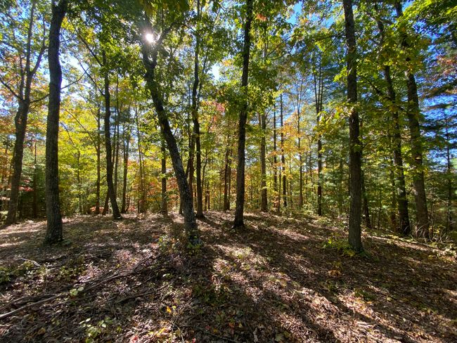 431 Harold Luke Rd, House other with 4 bedrooms, 4 bathrooms and null parking in Campton KY | Image 22
