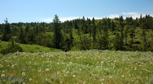 SC-25 - TBD Lone Rock Canyon Lane, Home with 0 bedrooms, 0 bathrooms and null parking in Hysham MT | Image 40