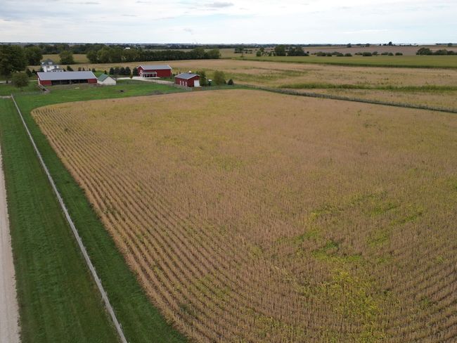159 Twombley Road, Home with 0 bedrooms, 0 bathrooms and null parking in Creston IL | Image 6