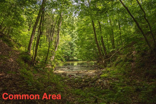 4042 Cabin Land Dr, Home with 3 bedrooms, 3 bathrooms and null parking in Radford VA | Image 43