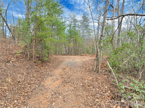 102-TBD Deep Woods Lane, Saluda, NC, 28773 | Card Image
