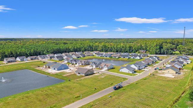 1221 Cypress Shoal Dr, House other with 4 bedrooms, 3 bathrooms and 4 parking in Conway SC | Image 29