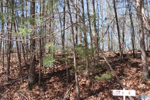 Lot 4 Hickory Ln, Valley Head, AL, 35989-4444 | Card Image